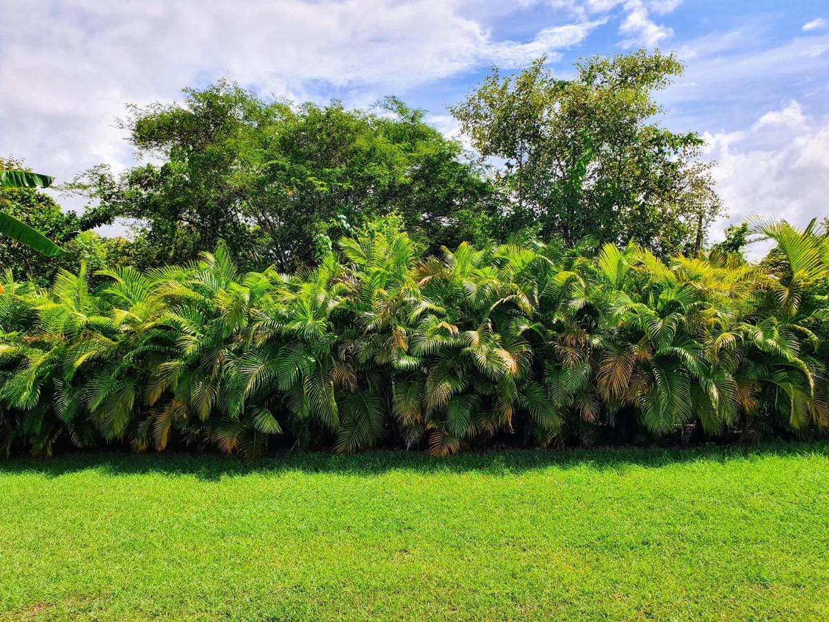 Villa Ohana Sainte-Anne  Esterno foto